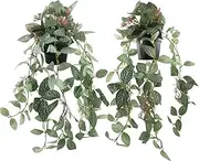 Vnezakl 2 Pcs Artificial Hanging Plants Realistic Watermelon Texture with Flower Buds Fake Potting Leaves Faux Peperomia Vine Green Plants for Indoor Outdoor Home Garden Decor