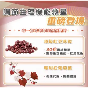 Healthy Player 纖Q高濃縮紅豆膠囊