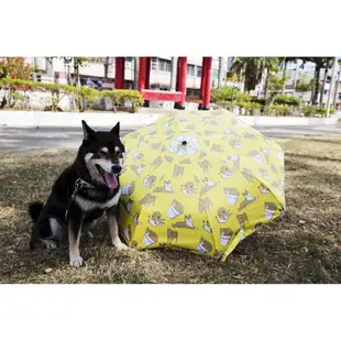 柴犬大學 柴柴晴雨傘 陽傘 雨傘 自動傘 折疊傘 遮陽傘 抗UV 防曬 夏春色 黑膠 柴犬雨傘 柴犬周邊
