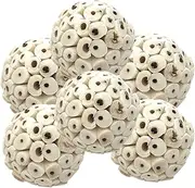 Bonka Bird Toys 2117Pk6 Sola Atta Ball Bird Toys