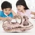 Resin Dinosaur Skull Model Simulated Animal Skeleton Office Decor Craft TU