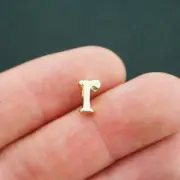 4 Letter R Charms Gold Tone Lowercase Initial Alphabet r - GC682