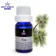 【Body Temple】松樹芳療精油10ml(Pine)