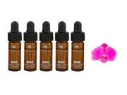 Skinceuticals HA Intensifier Multi-Glycan 5 bottles x 4ml / 0.13oz