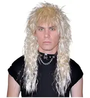 1980s Hard Rock Heavy Metal Headbanger Costume Men Wig