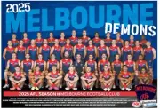 2025 MELBOURNE DEMONS LAMINATED AFL FOOTBALL TEAM POSTER,BARGAIN,1