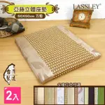 【LASSLEY】50CM亞藤立體座墊-2入組(坐墊 椅墊 涼墊 涼蓆 和室 木椅 客廳椅 台灣製造)