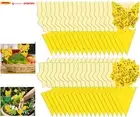 54 Pack Fruit Fly Trap for Indoor, Gnat Traps for House Indoor, Fungus Gnat Kill