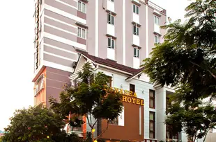丹納斯酒店Danasea Hotel