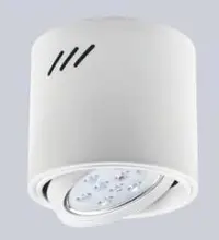 在飛比找Yahoo奇摩購物中心優惠-【燈王的店】 節能省電 LED AR111 12W 吸頂燈 