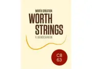 Clear fluorocarbon Baritone Uke Strings Tuning C-B | Worth