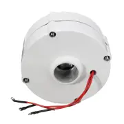 100W 12V 24V Three-phase Current PMSG Generator White For Wind Turbine
