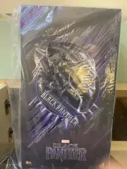 Hot Toys MMS 470 黑豹 T'Challa Chadwick Boseman 1/6 #moau