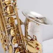 Alto Saxophone Nickel Plated Gold Key Professional Sax Mouthpiece With Case