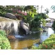 Velas Vallarta Suites Resort