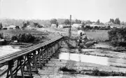 1914 A trestle bridge construction on the Orbost-Bairnsdale line OLD PHOTO