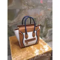 在飛比找Yahoo!奇摩拍賣優惠-Celine Luggage Multicolor Micr