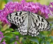 BUTTERFLY WHITE AND BLACK FLORAL COMPUTER MOUSE PAD 9 x 7