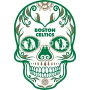 Boston Celtics vinyl iron on transfer (choice of 1)