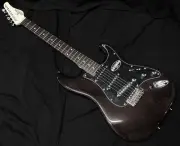 Schecter Ol-St-22-Mh Stbk R Schector Stratocastermahogany Body See-Through Black