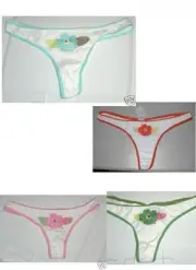 NWT AMERICAN EAGLE OUTFITTERS THONG UNDERWARE embroidered flower