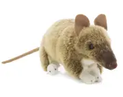 ~❤️~BOCCHETTA Bandicoot BERT 28cms 11" Plush Soft Toy Australian Native~❤️~