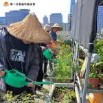 <純捐款響應> 我要捐款支持【老憨兒園藝輔療健康樂活計畫】《第一社福基金會》