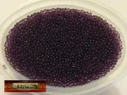 M00718-FS MOREZMORE 267L DARK PURPLE GLASS 1mm Microbeads Micro Beads