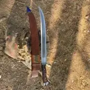 Handmad Custom Carbon Steel Blade Survival Machete Sword| Hunting Sword Camping