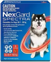 Spectra Chewables for Dogs 30.1-60kg Flea Tick Worm Protection 6 Pack