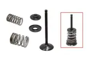 Psychic Intake Valve Kit For Yamaha TW200 1987-2020