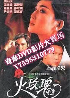 DVD專賣店 【火玫瑰】【國語/粵語清晰】 【溫兆倫 溫碧霞】6碟