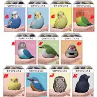 在飛比找蝦皮購物優惠-「全新現貨」日本 BANDAI 萬代 鸚鵡 文鳥 小鳥 盒玩