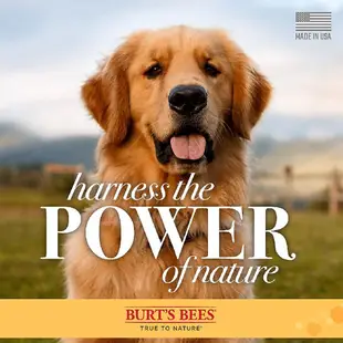 BURT'S BEES 寵物沐浴露系列 犬473ml 毛貓寵