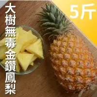 在飛比找台灣好農優惠-大樹無毒金鑽鳳梨(5台斤)_鳳梨農產嘉年華