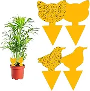 Vegena Fruit Fly Trap, Pack of 60 Yellow Plates Fly Trap, Yellow Sticker, Fruit Fly Trap, Fly Catcher, Yellow Trap, Adhesive Trap, Insect Trap for Indoor Plants, Fungus Gnats, Aphids, Potted Plant,