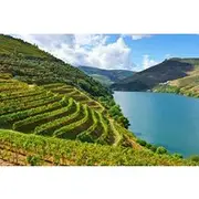 Save 5.00%! Douro Valley Private Wine Tour From Porto