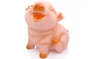 HW Cute Pig Coin Money Bank, Shatterproof Piggy Bank, Creative Money Bank, Can Store 1000 Coins, Best Bitrthday Gift, Squint Piggy WK7-D2