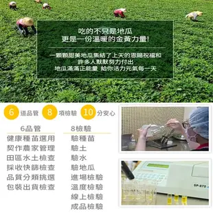 【點我點我】瓜瓜園 冰烤蕃薯 家庭分享包1kg  台農57號 番薯 地瓜食譜 冷凍低溫配送