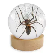 Spider Globe goth punk occult alternative ghoul pagan