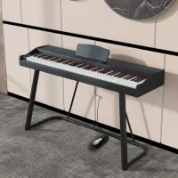 在飛比找momo購物網優惠-【雅蘭仕】電子琴 初學者 電鋼琴 兒童幼師專用 家用琴 88