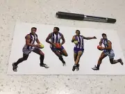 AFL NORTH MELBOURNE KANGAROOS TEAM STICKER ,PIES CATS DOGS EAGLES SUNS DOCKERS