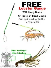 LOBSTER Snare Snair Tickle STICK Catch Bag Net bug Inn Lobster locking Loop