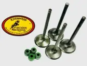 Predator 500 Kibblewhite Valves Stock OEM Aftermarket Replacement Viton Seals