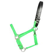 HORSE SIZE- READY MADE - Lime Green TURNOUT HALTER Made from BETA BIOTHANE