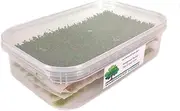 Warpainter scenics Wargamers basing Tub of x455 mixed Tufts, Self Adhesive Static Grass