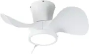 Ceiling Fans with Lights and Remote, 22 Inch Ceiling Fans with Reversible Quiet