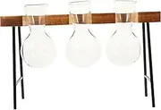 Garneck 1Set Plant Propagation Station Hydroponic Glass Vases with Wooden Holder for Desktop Decoration for Home and Office Planting Display Chic and Stylish Planting