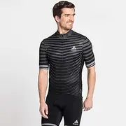 [ODLO] Men's Stand Collar S/S Full Zip Zeroweight Jersey, Blue Aster-Estate Blue, L