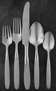 Oneida Stainless Flatware PARADOX Five Piece Place Setting - Discontinued!